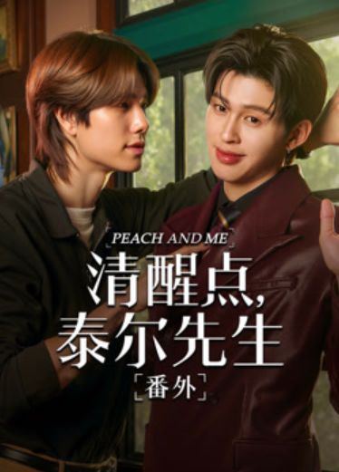 清醒点 泰尔先生番外篇
