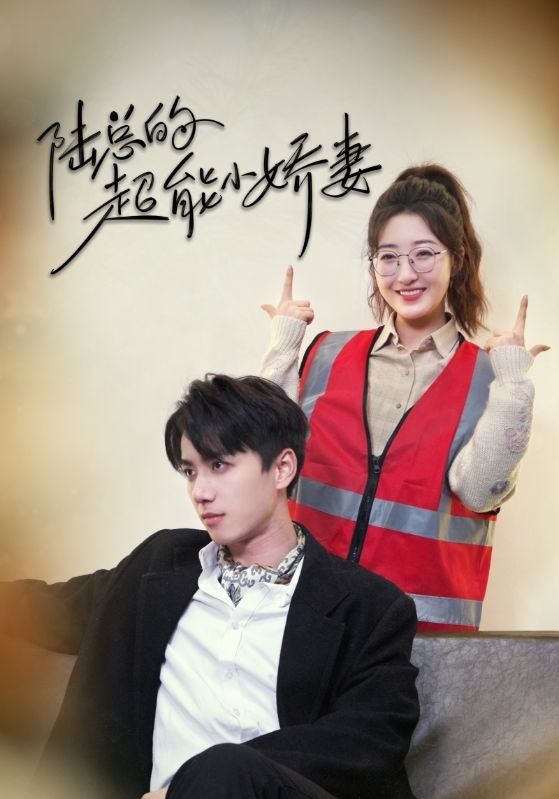 陆总的超能小娇妻（余生只护你）（踮起脚尖的爱）第21-40集