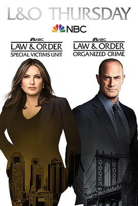 法律与秩序：特殊受害者 第二十三季第19集