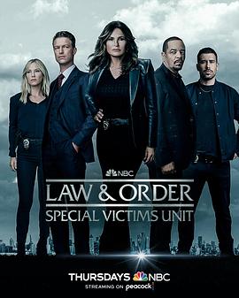 法律与秩序：特殊受害者 第二十四季第10集