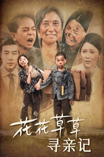 花花草草寻亲记全集(大结局)