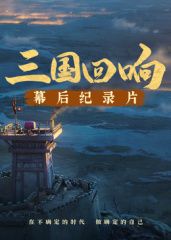 三国回响—三国的星空第一部幕后​