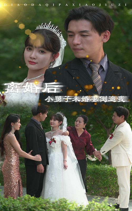 离婚后，小舅子未婚妻倒追我全集(大结局)
