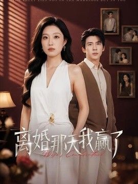 离婚那天我赢了(全集)