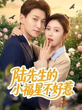 陆先生的小福星不好惹(全集)