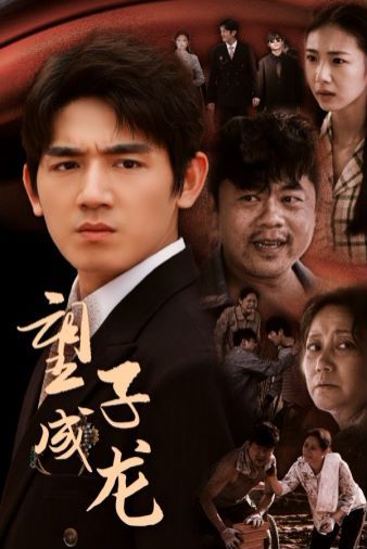 望子成龙第41-52集完结(大结局)