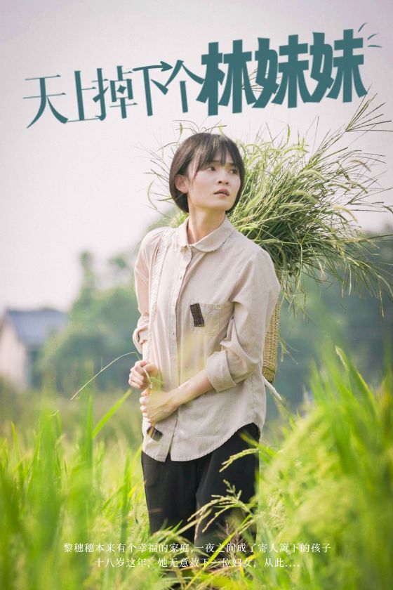 天上掉下个林妹妹第21-40集
