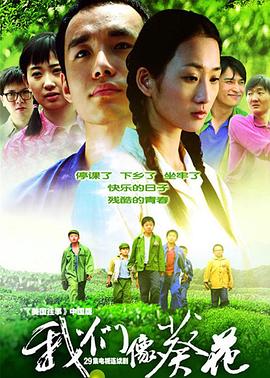 我们像葵花第03集