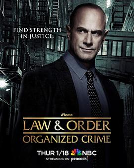 法律与秩序：组织犯罪第四季第04集